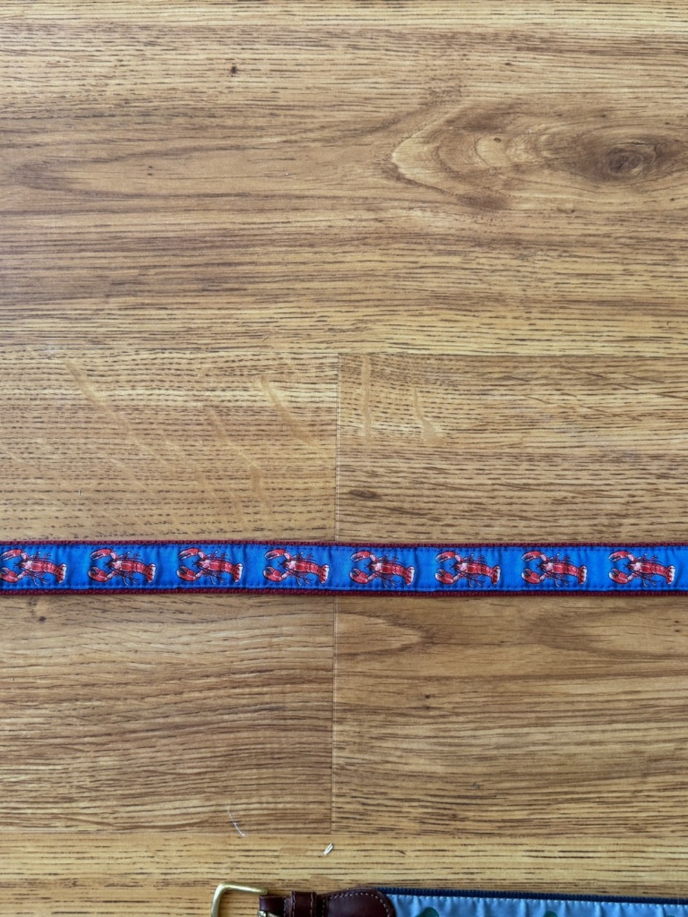 Children's Blue Ribbon Belt with Red Lobster Pattern